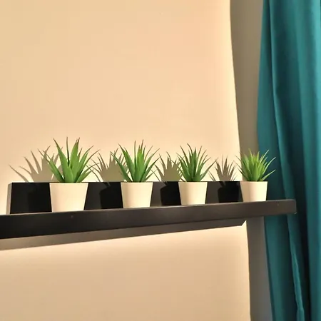 ***beaut3 *** 12mn De Toulouse En Train*** דירה Saint-Jory